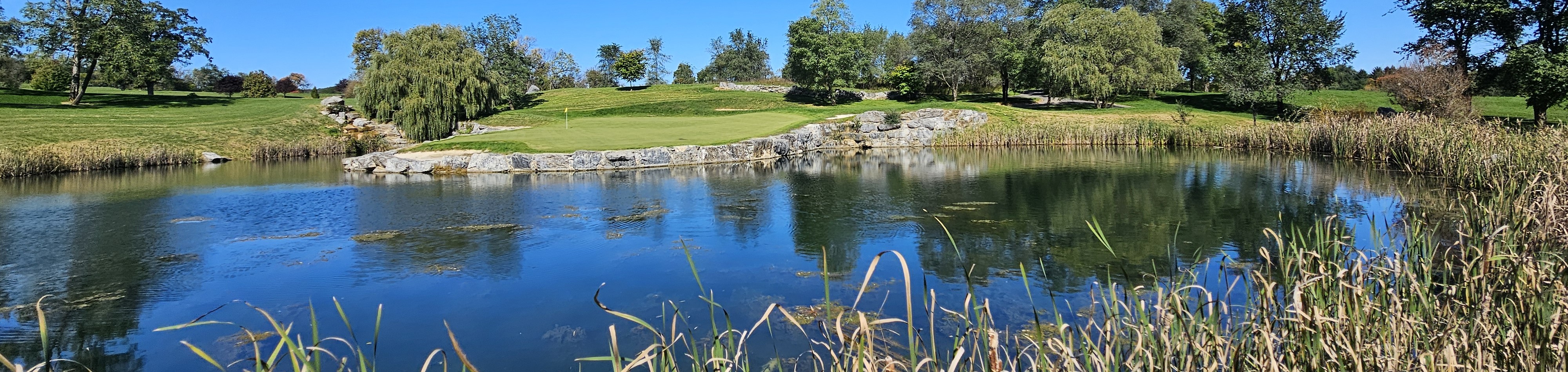 Image of golf ball on tee on grass.